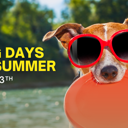 Dogs Days of Summer for Wednesday July 13th