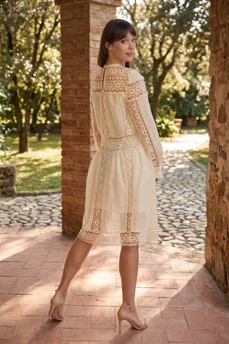 Johnny Was Jade Mitska Lace Mini Dress L30224 *