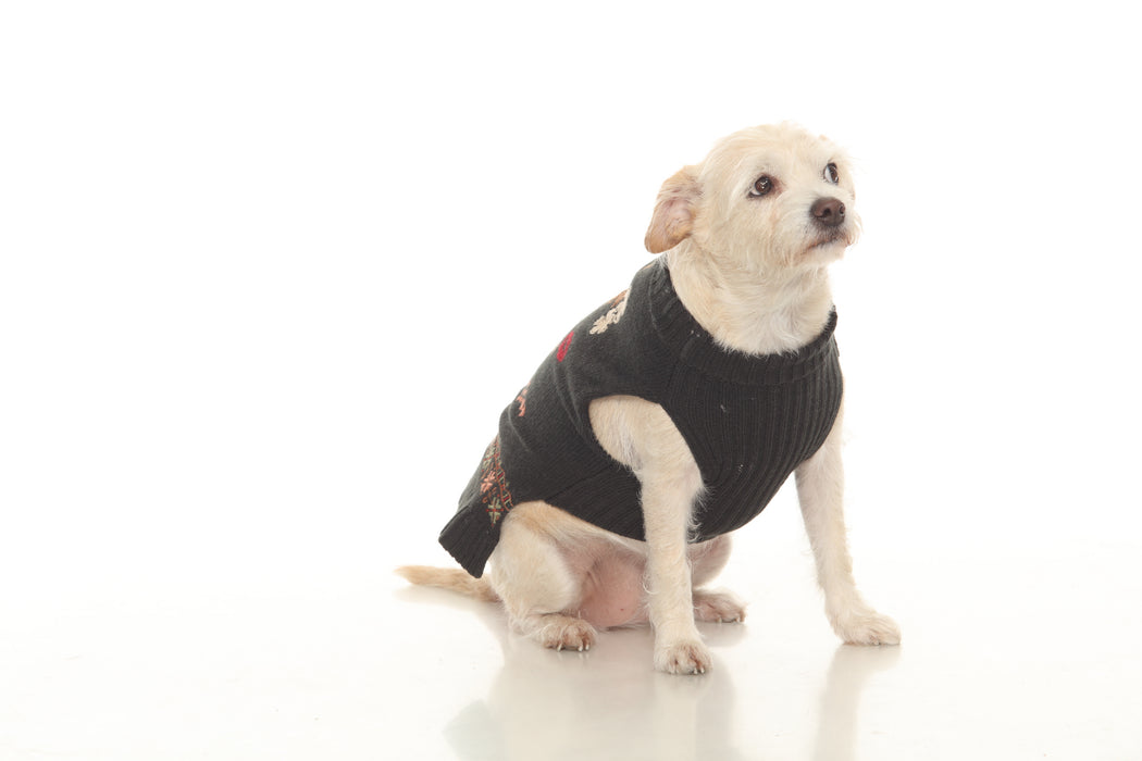 Johnny Was Zuzu Embroidered Dog Sweater M69423