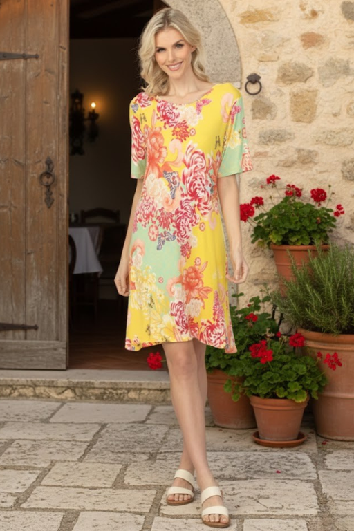 Johnny Was JWLA The Janie Favorite Charlie Swing Dress R39325-4