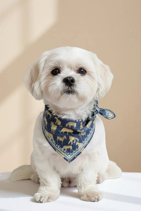 Johnny Was Blue Tiger Cotton Pet Bandana H94722