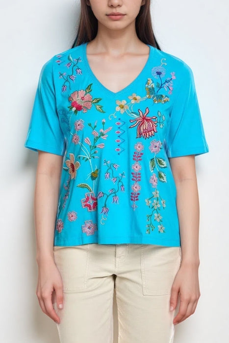 Woman wearing a blue embroidered top with v-neck from Johnny Was