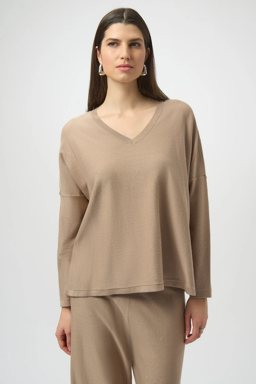 Joseph Ribkoff 244921 Fawn Sequined Long Sleeve Boxy Top