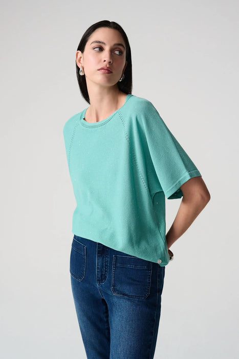 Joseph Ribkoff Sequined Raglan Sleeve Sweater Top 261917