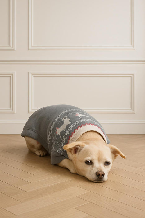 PJ Salvage Heather Charcoal Family Fairisle Dog Sweater RAFADG