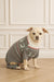 Dog wearing a gray sweater with fair isle pattern from PJ Salvage